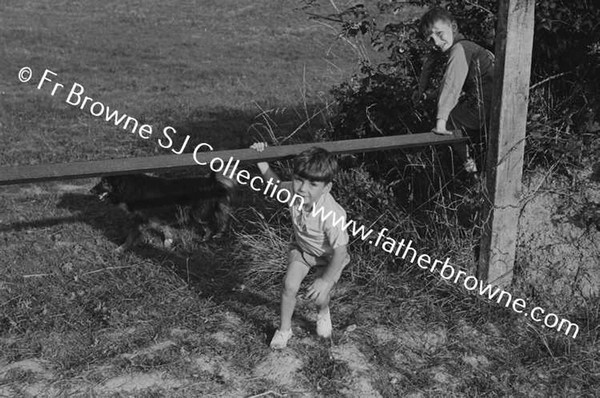 GATHERING BLACKBERRIES O'DONOVAN CHILDREN